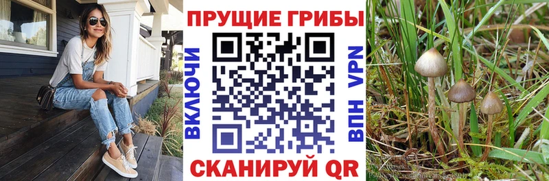Галлюциногенные грибы прущие грибы  что такое наркотик  Егорьевск 