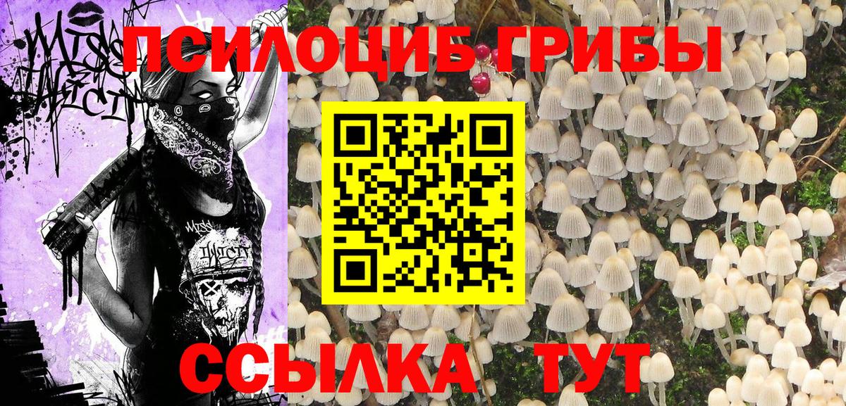 Галлюциногенные грибы Magic Shrooms Егорьевск